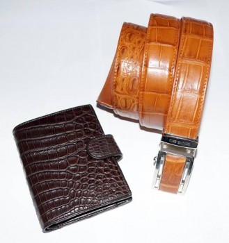 кожа крокодила