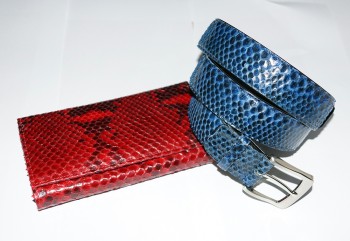 кожа питона