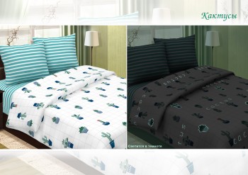 ОТЛИЧНОЕ ПРЕДЛОЖЕНИЕ ДЛЯ ОРГАНИЗАТОРОВ СП  - Кактусы св.jpg